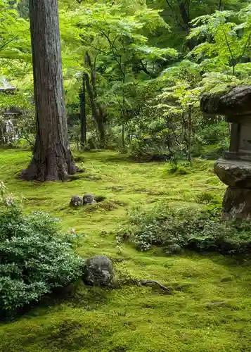三千院門跡(京都府)
