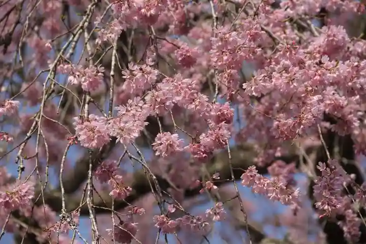 瑞雲寺(福島県)