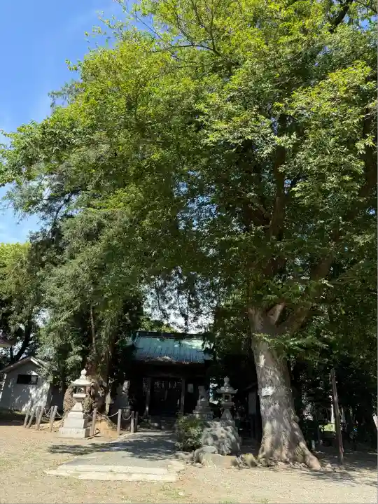 勝福寺(神奈川県)