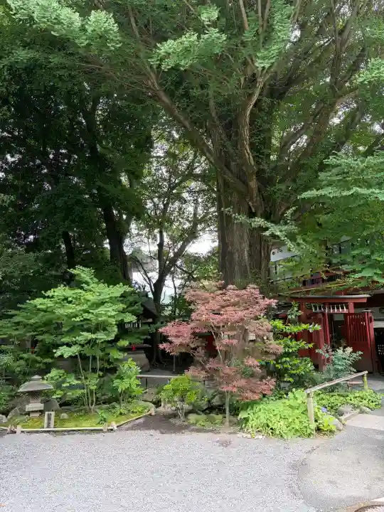 秩父神社(埼玉県)