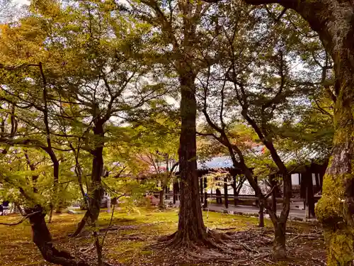 東福禅寺（東福寺）(京都府)