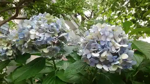 矢先稲荷神社(東京都)