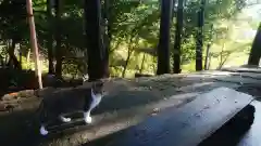 玉野御嶽神社の動物