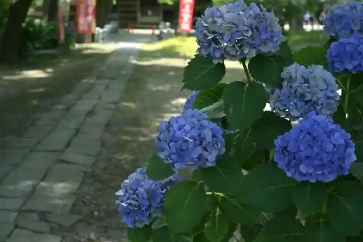 安禅寺(新潟県)