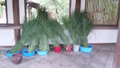 平野神社のその他建物