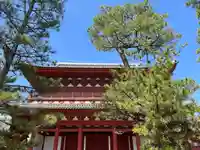 妙心寺(妙心禅寺)(京都府)