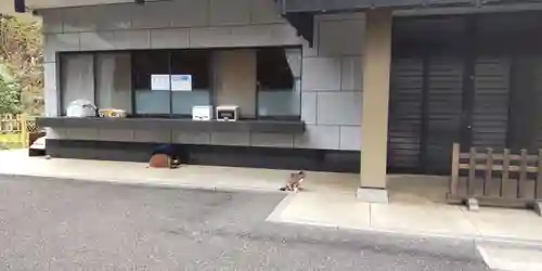 白金氷川神社(東京都)