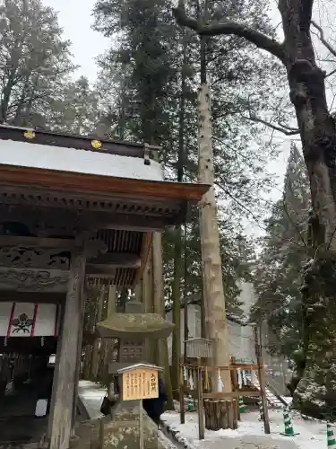 諏訪大社の{uncategorized: "未分類", other: "その他", undefined: "問題あり", building: "その他建物", grave: "お墓", sacred_gate: "鳥居", guardian: "狛犬", statue: "像", buddha: "仏像", history: "歴史", nature: "自然", garden: "庭園", animal: "動物", pagoda: "塔", temizu: "手水舎", mountain_gate: "山門・神門", sanctuary: "本殿・本堂", subordinate: "末社・摂社", art: "芸術", scenery: "景色", jizo: "地蔵", ema: "絵馬", goshuin: "御朱印", omikuji: "おみくじ", items: "授与品その他", amulet: "お守り", goshuincho: "御朱印帳", eats: "食事", festival: "お祭り", votive_dance: "神楽", shichigosan: "七五三参", wedding: "結婚式", experience: "体験その他", initially: "初詣", around: "周辺", anti_infection: "感染症対策"}