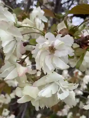 上地八幡宮(愛知県)