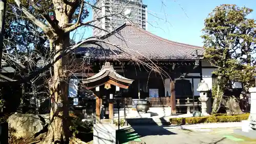 安養院の本殿・本堂