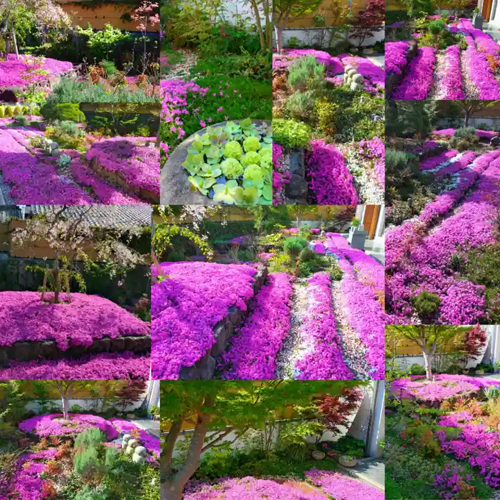 寿量山 速成寺(奈良県)