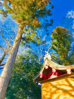 鹿島神社の本殿・本堂