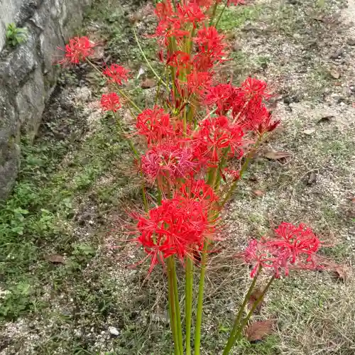 不動院(広島県)