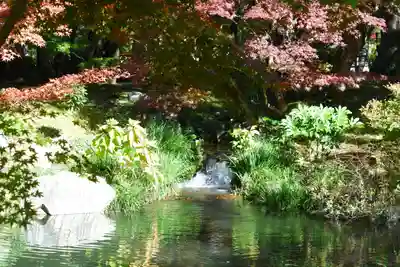 禅林寺(永観堂)(京都府)