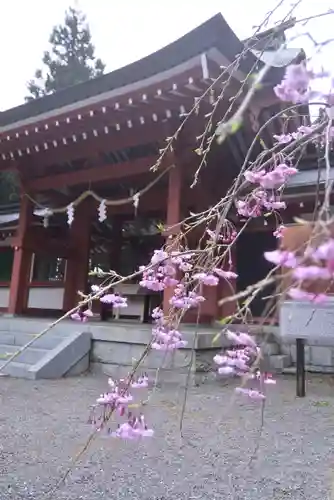 冨士御室浅間神社の本殿