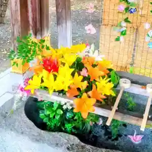 彌彦神社 (伊夜日子神社)の手水舎(2024年08月26日(月) 11時50分04秒投稿)
