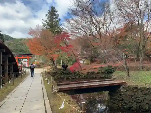 丹生都比売神社の建物その他