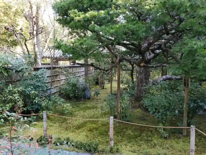 地蔵院の{uncategorized: "未分類", other: "その他", undefined: "問題あり", building: "その他建物", grave: "お墓", sacred_gate: "鳥居", guardian: "狛犬", statue: "像", buddha: "仏像", history: "歴史", nature: "自然", garden: "庭園", animal: "動物", pagoda: "塔", temizu: "手水舎", mountain_gate: "山門・神門", sanctuary: "本殿・本堂", subordinate: "末社・摂社", art: "芸術", scenery: "景色", jizo: "地蔵", ema: "絵馬", goshuin: "御朱印", omikuji: "おみくじ", items: "授与品その他", amulet: "お守り", goshuincho: "御朱印帳", eats: "食事", festival: "お祭り", votive_dance: "神楽", shichigosan: "七五三参", wedding: "結婚式", experience: "体験その他", initially: "初詣", around: "周辺", anti_infection: "感染症対策"}
