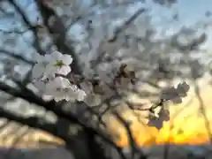 白鳥神社(長野県)