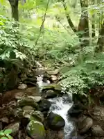 花園神社の自然