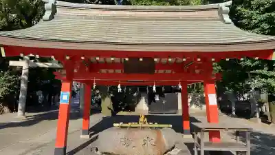 金神社の{uncategorized: "未分類", other: "その他", undefined: "問題あり", building: "その他建物", grave: "お墓", sacred_gate: "鳥居", guardian: "狛犬", statue: "像", buddha: "仏像", history: "歴史", nature: "自然", garden: "庭園", animal: "動物", pagoda: "塔", temizu: "手水舎", mountain_gate: "山門・神門", sanctuary: "本殿・本堂", subordinate: "末社・摂社", art: "芸術", scenery: "景色", jizo: "地蔵", ema: "絵馬", goshuin: "御朱印", omikuji: "おみくじ", items: "授与品その他", amulet: "お守り", goshuincho: "御朱印帳", eats: "食事", festival: "お祭り", votive_dance: "神楽", shichigosan: "七五三参", wedding: "結婚式", experience: "体験その他", initially: "初詣", around: "周辺", anti_infection: "感染症対策"}