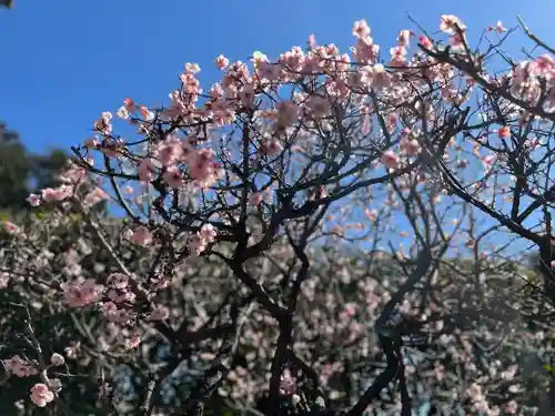 中野沼袋氷川神社(東京都)