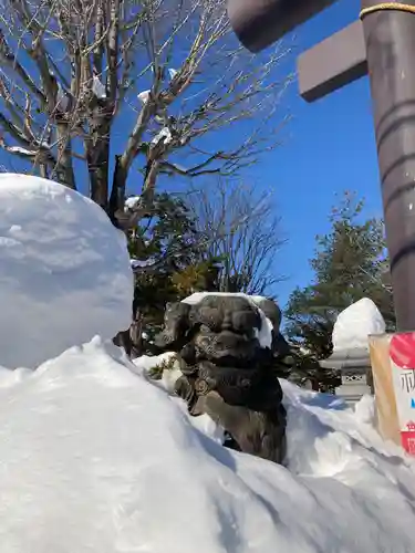 札幌村神社の狛犬