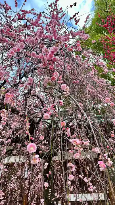 屯倉神社(大阪府)