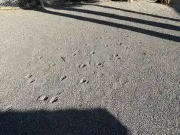 春日神社(滋賀県)