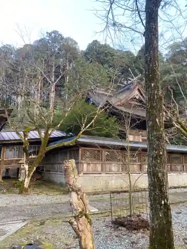 養父神社(兵庫県)
