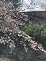 阿佐ヶ谷神明宮(東京都)