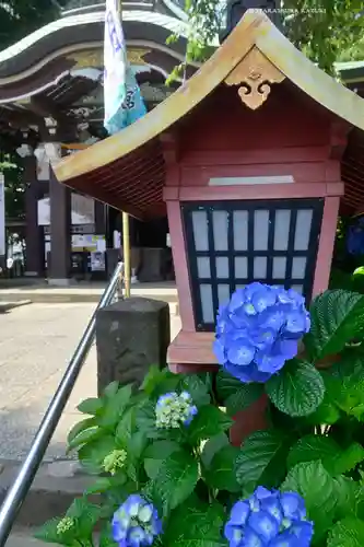 川越八幡宮(埼玉県)