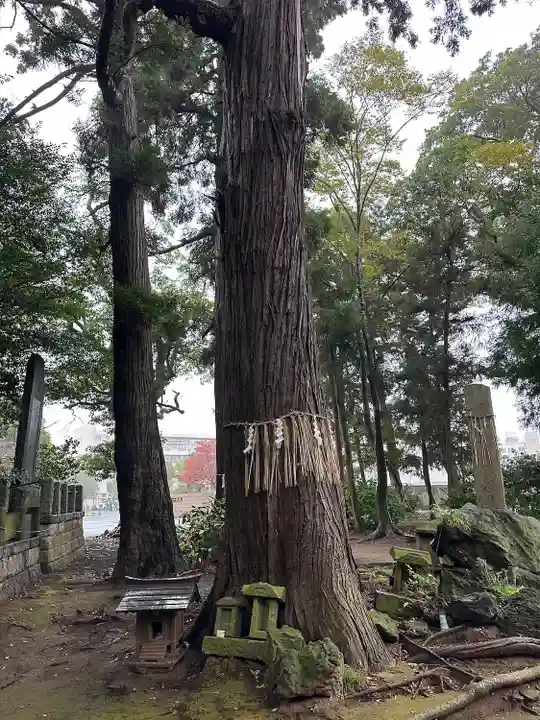 駒形神社(千葉県)