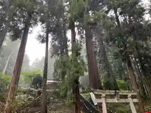 大宮温泉神社(栃木県)(2022年09月20日(火) 21時48分04秒投稿)