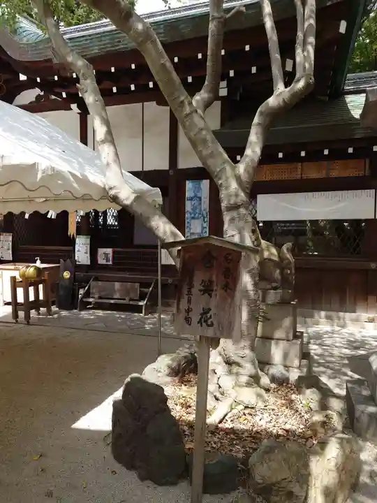 白峯神宮(京都府)