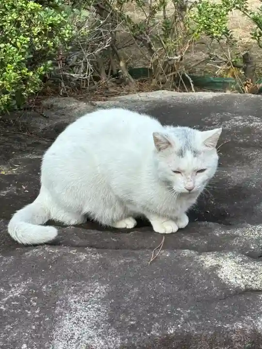 白島稲荷神社(広島県)