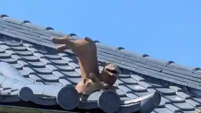 稲荷神社の{uncategorized: "未分類", other: "その他", undefined: "問題あり", building: "その他建物", grave: "お墓", sacred_gate: "鳥居", guardian: "狛犬", statue: "像", buddha: "仏像", history: "歴史", nature: "自然", garden: "庭園", animal: "動物", pagoda: "塔", temizu: "手水舎", mountain_gate: "山門・神門", sanctuary: "本殿・本堂", subordinate: "末社・摂社", art: "芸術", scenery: "景色", jizo: "地蔵", ema: "絵馬", goshuin: "御朱印", omikuji: "おみくじ", items: "授与品その他", amulet: "お守り", goshuincho: "御朱印帳", eats: "食事", festival: "お祭り", votive_dance: "神楽", shichigosan: "七五三参", wedding: "結婚式", experience: "体験その他", initially: "初詣", around: "周辺", anti_infection: "感染症対策"}