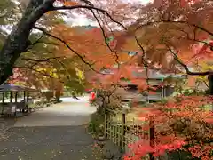 普門寺(切り絵御朱印発祥の寺)の建物その他