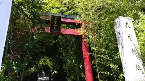 來宮神社(静岡県)