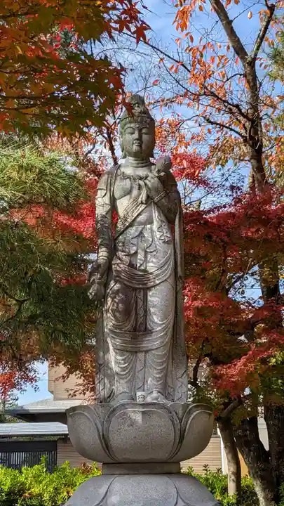 妙顯寺(妙顕寺)(京都府)