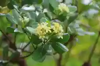 開成山大神宮の庭園