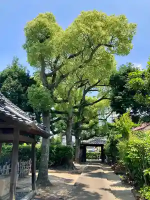 弁栄庵 法城寺の山門・神門
