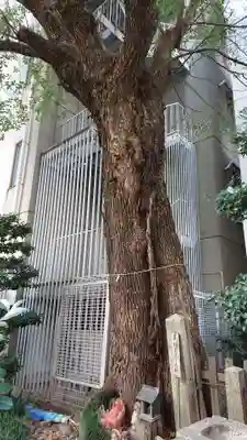 泥江縣神社のその他建物