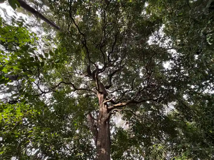 進雄神社(群馬県)
