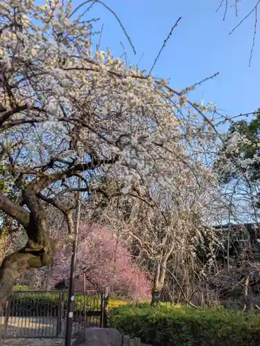 蓮華寺(東京都)