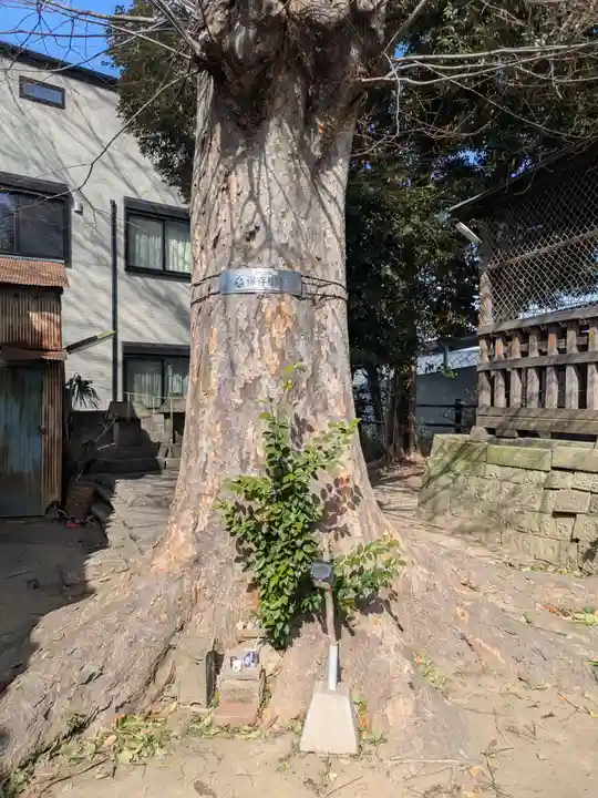 中川氷川神社(東京都)