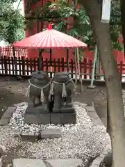 浅草神社の狛犬