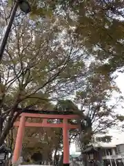 武蔵一宮氷川神社の鳥居