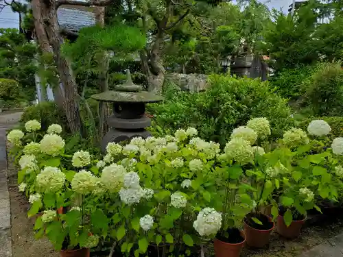 豊景神社の庭園