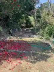 朝日山護国神社の周辺